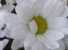 FUNERAILLES